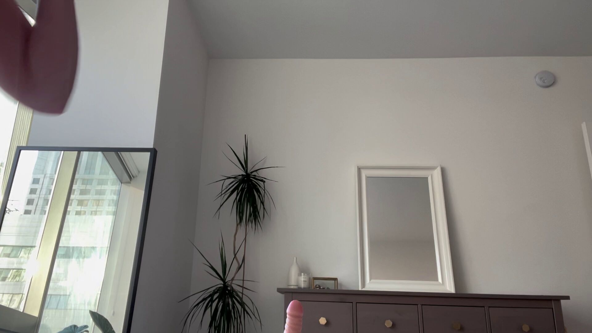Blog image 5